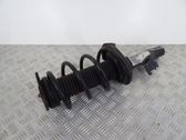 Front shock absorber/damper