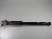 Rear shock absorber/damper