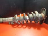 Rear shock absorber/damper