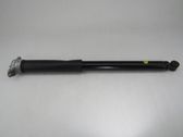 Rear shock absorber/damper
