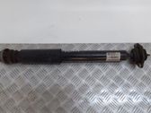 Rear shock absorber/damper