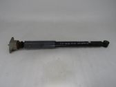 Rear shock absorber/damper
