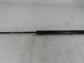 Tailgate/trunk strut/damper