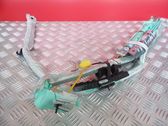Airbag del techo
