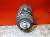 Front shock absorber/damper