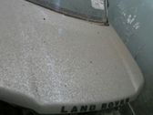 Engine bonnet/hood