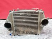 Intercooler radiator