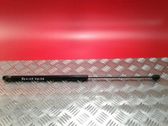 Tailgate/trunk strut/damper