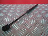 Tailgate/trunk strut/damper