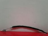 Roof airbag