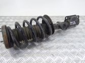 Front shock absorber/damper