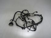 Other wiring loom