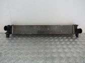 Radiador intercooler