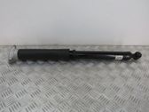 Rear shock absorber/damper