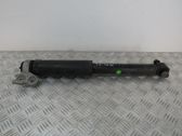 Stoßdämpfer hinten