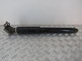 Rear shock absorber/damper