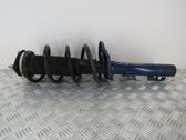 Front shock absorber/damper
