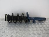 Front shock absorber/damper