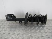 Front shock absorber/damper