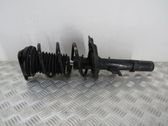Front shock absorber/damper