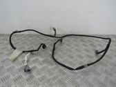 Other wiring loom