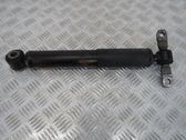 Rear shock absorber/damper