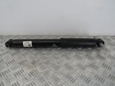 Rear shock absorber/damper