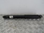 Rear shock absorber/damper