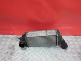 Intercooler radiator