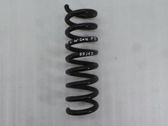 Rear coil spring