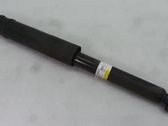 Rear shock absorber/damper