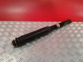 Rear shock absorber/damper