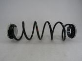 Rear coil spring