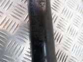 Rear shock absorber/damper