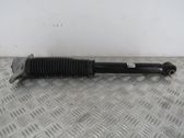 Stoßdämpfer hinten