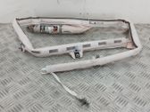 Roof airbag