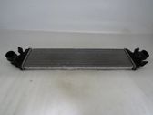 Intercooler radiator