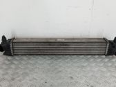 Starpdzesētāja radiators