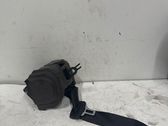 Roof seat belt