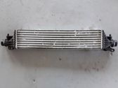 Intercooler radiator