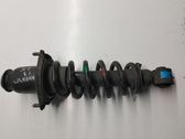Rear shock absorber with coil spring