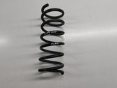 Rear coil spring