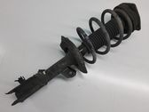 Front shock absorber/damper