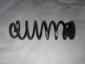 Muelle espiral trasero
