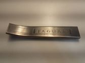 Front sill trim cover