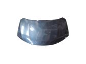 Engine bonnet/hood