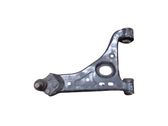 Front lower control arm/wishbone