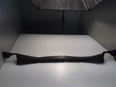 Moldura del limpia