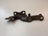 Engine bonnet/hood hinges