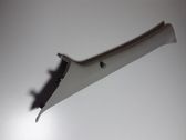 (A) pillar trim